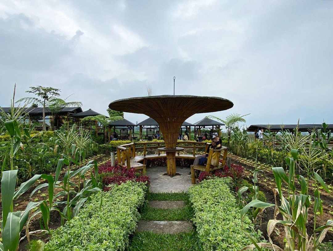 Cafe Sawah Pujonkidul / @gura_moto