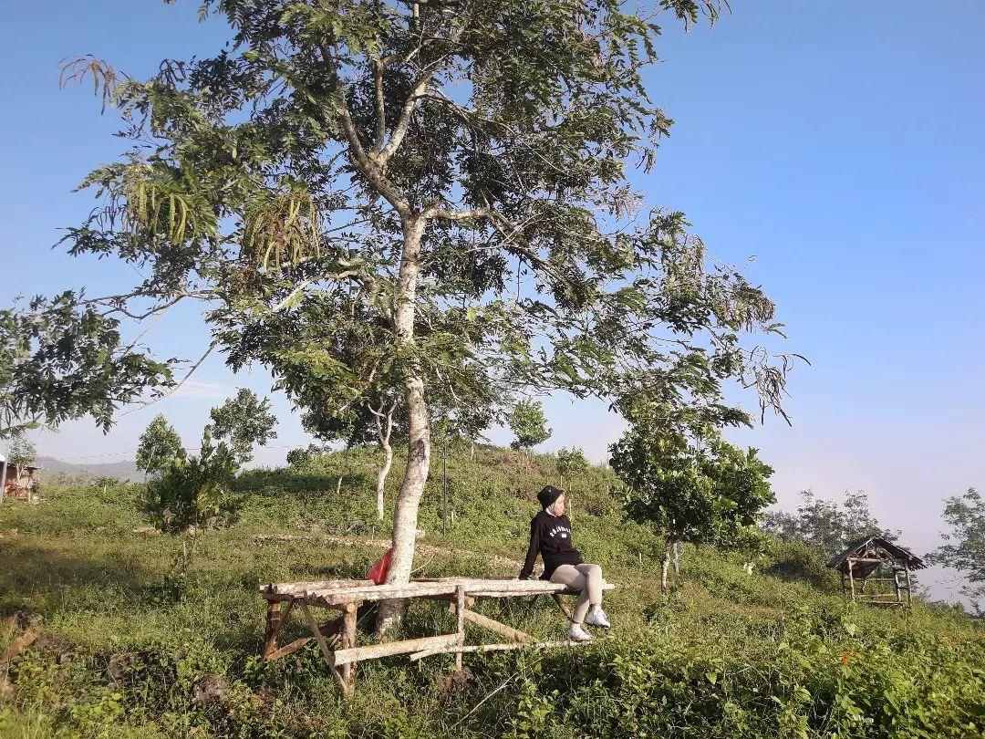Stone Park Gunung Kidul / dinisawijaya