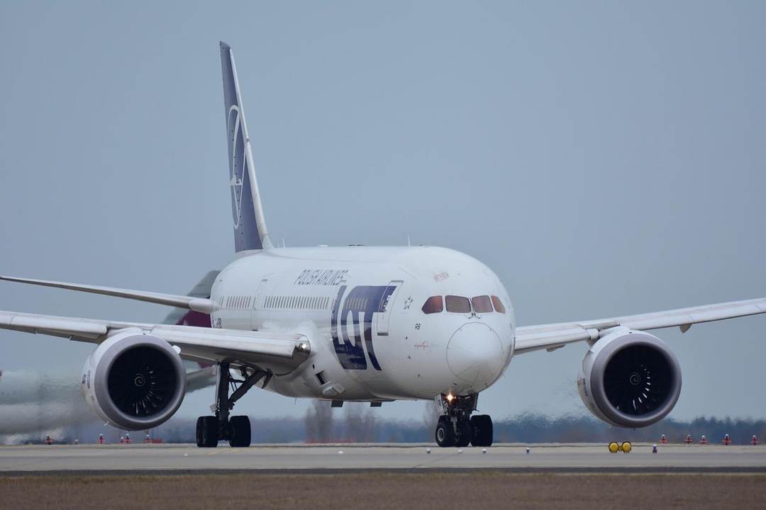 Get to Know Boeing 787 Dreamliner Landing Gear System ( Steve001 Pixabay)