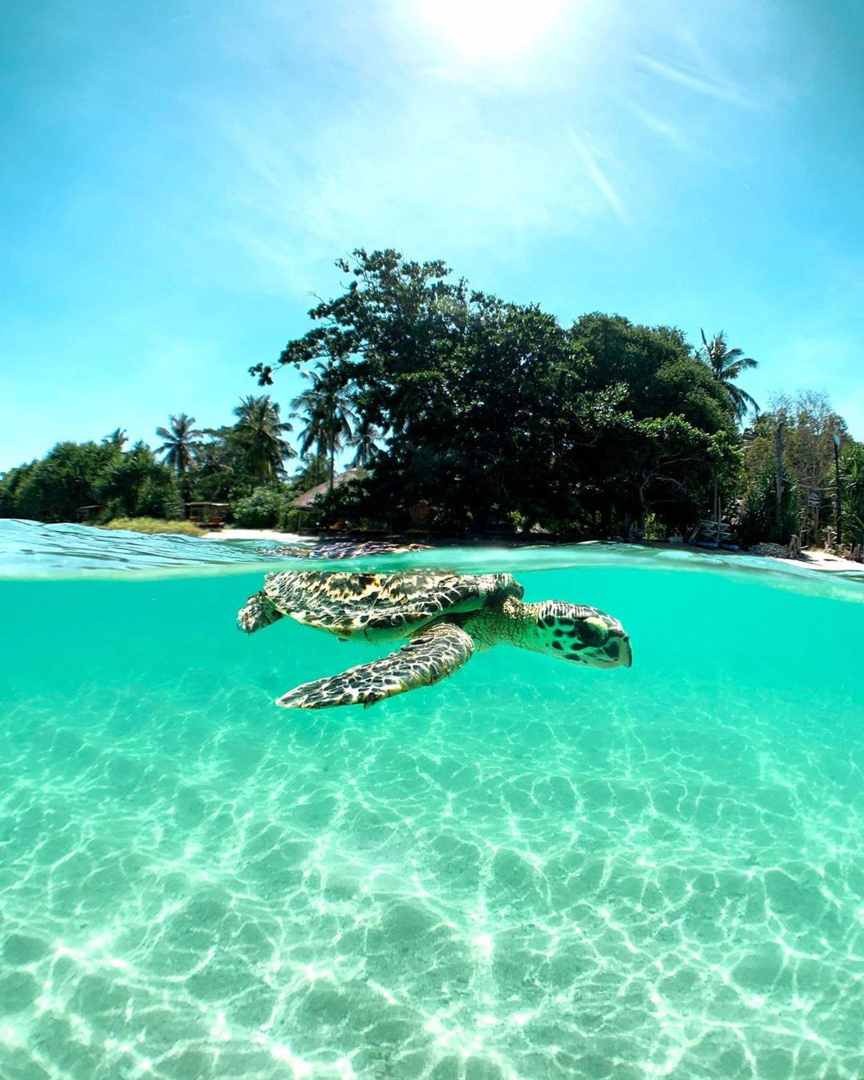 Gili Asahan / @giliasahanecolodge