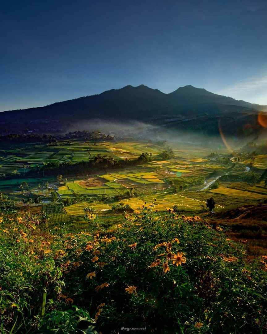 View Gunung di Pagi Hari / @keygreenwood
