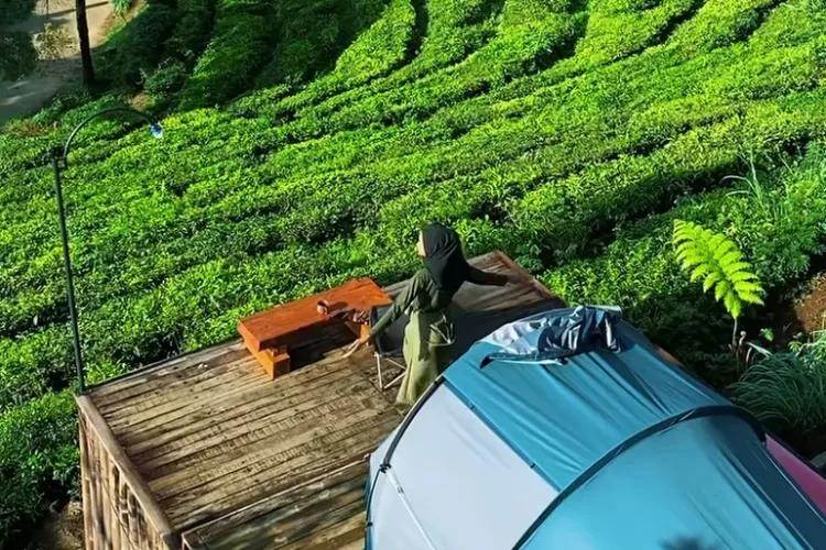 Kiara Manuk Camp Deck: Glamping dan Aktivitas Outdoor