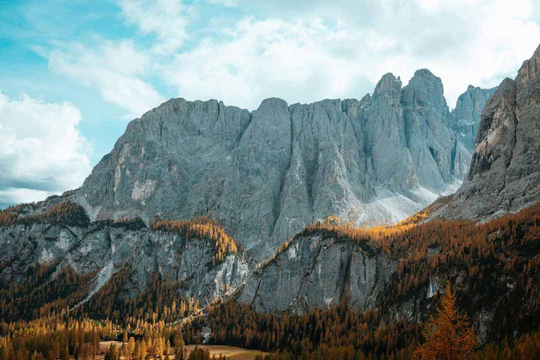 Sumber: Samuel Svec via Unsplash