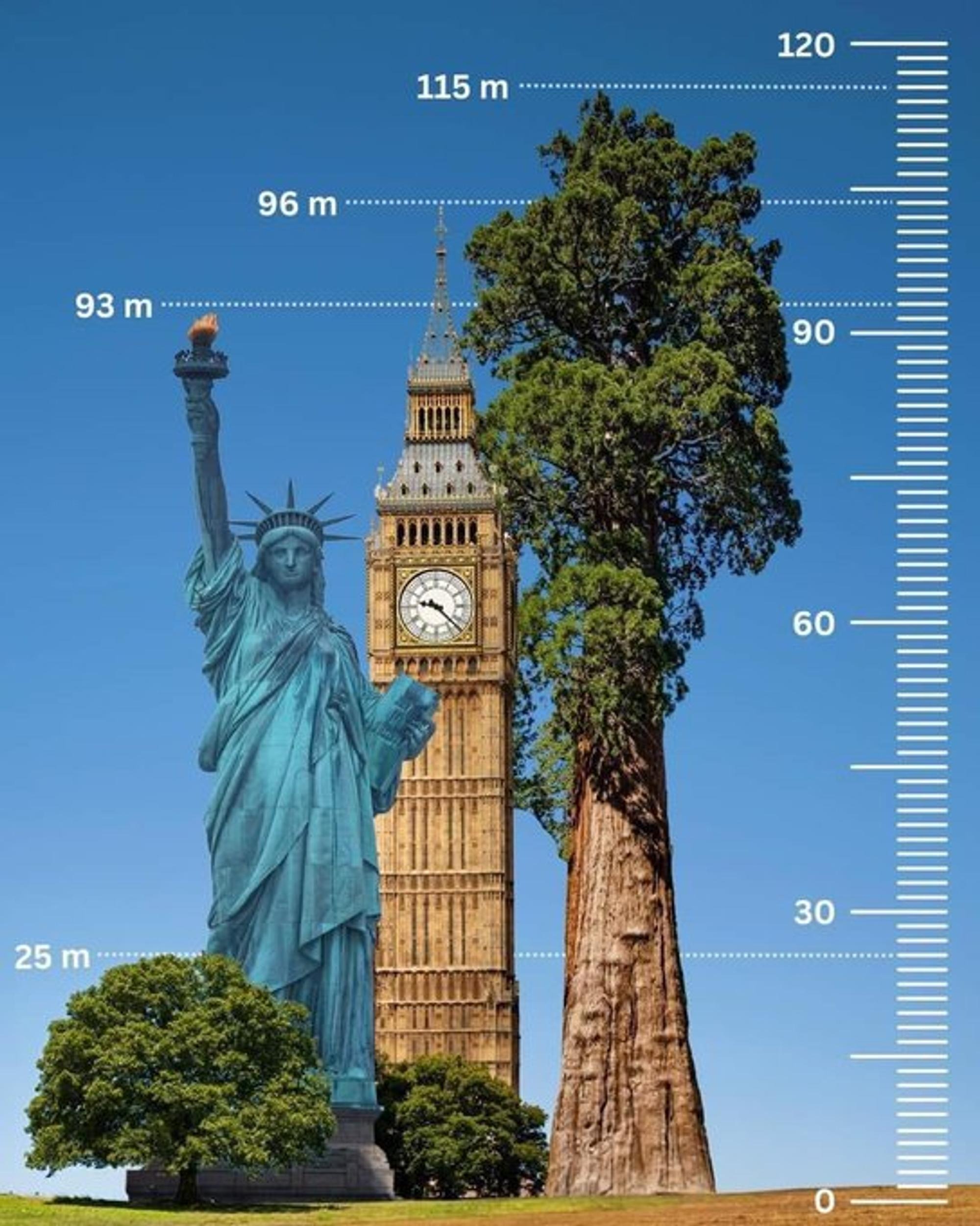 Giant Redwood? Nope! Discover The True Tallest Natural Structure - n6lmccd