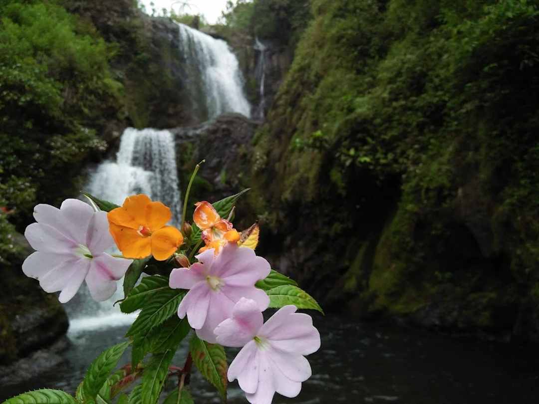 Suasana di air terjun Sarambu Ratte Balla /  Akry Luon