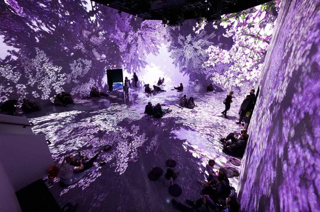 Projeksi floral di Pameran PixelBloom / Artechouse
