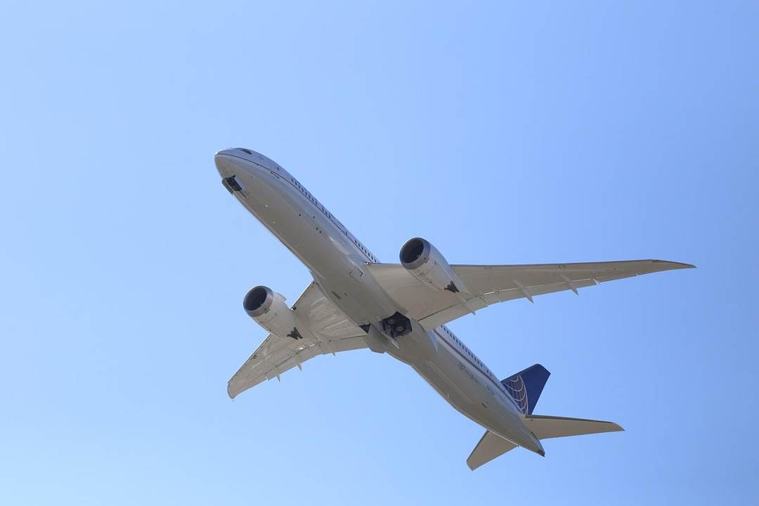 Get to Know Boeing 787 Dreamliner Landing Gear System ( kwluth Pixabay)