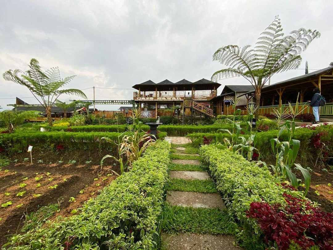 Cafe Sawah Pujonkidul / @gura_moto