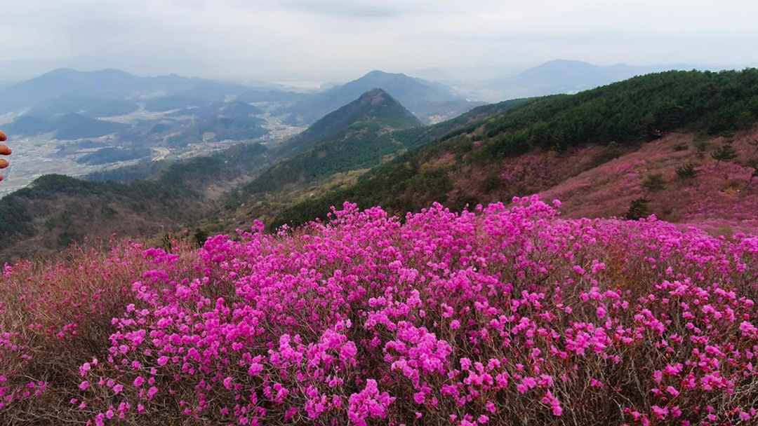 Dalcheon Valley / Google Maps