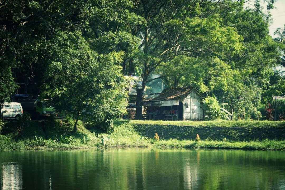 Umbul Senjoyo / @masskoyo_hadiwijoyo
