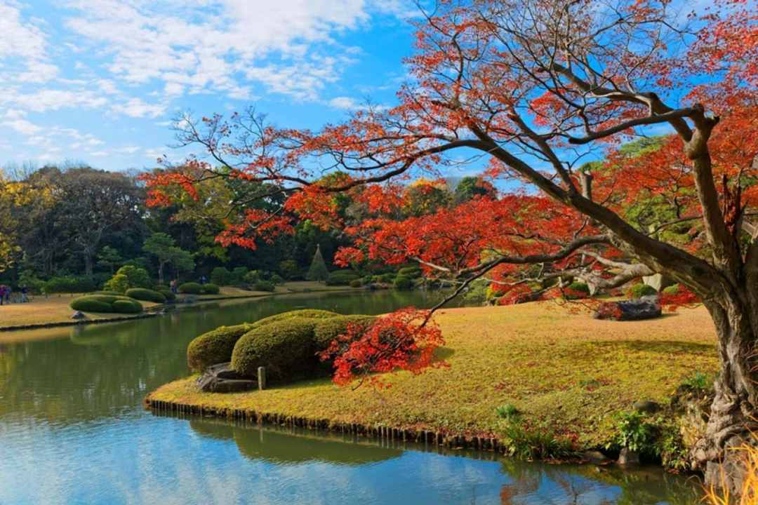 Rikugen / ZEKKEI Japan