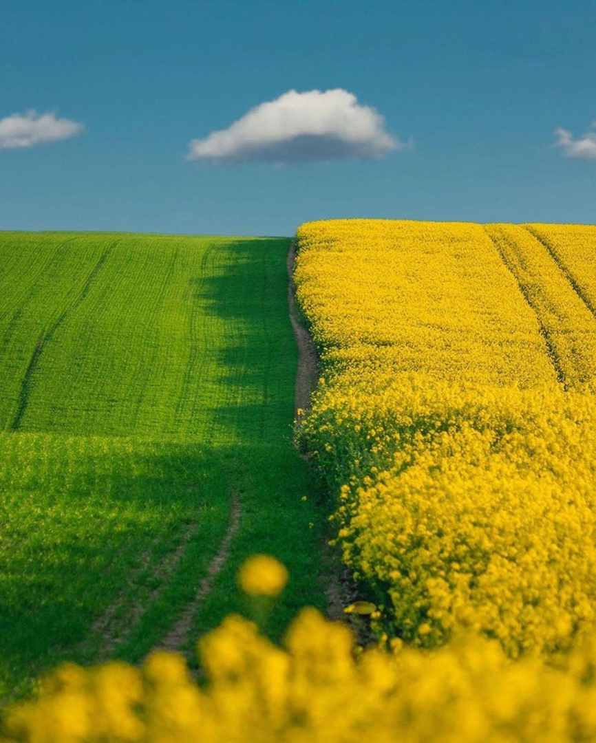 Keindahan lanskap di Moravia / @merveceranphoto