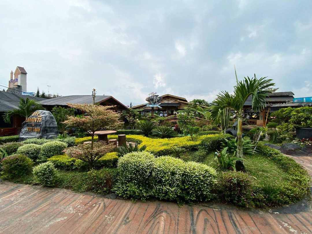 Cafe Sawah Pujonkidul / @gura_moto