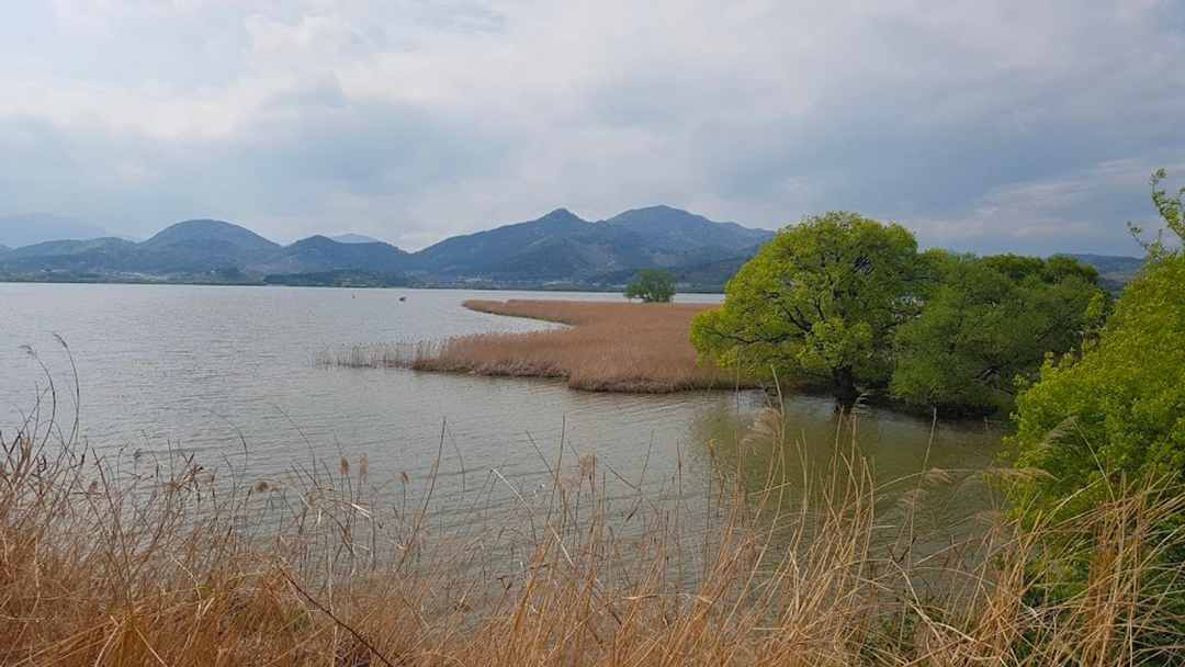 Junam Reservoir / Google Maps