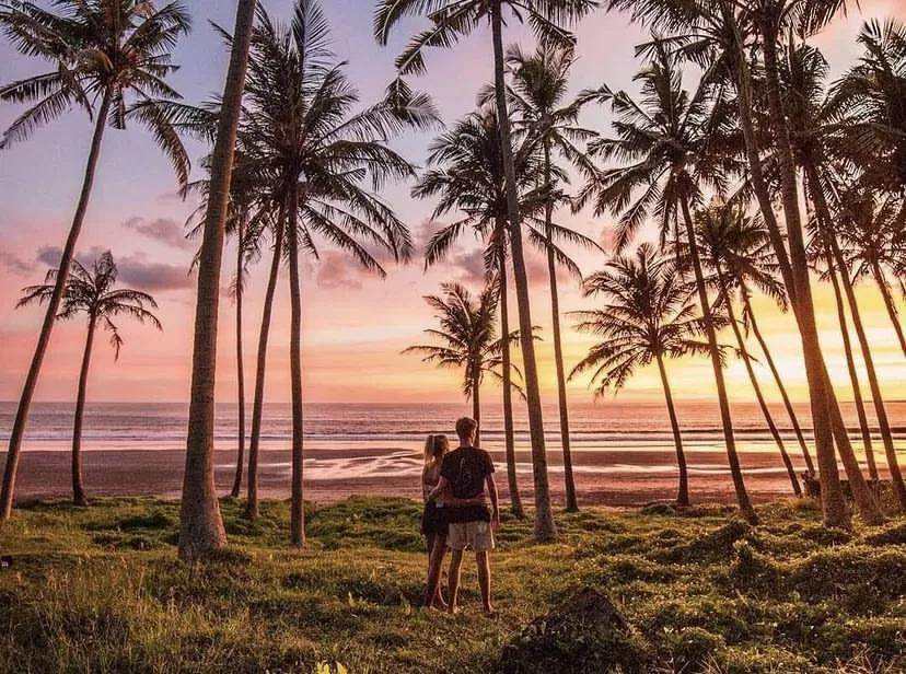 Daya Tarik Pantai Pasut