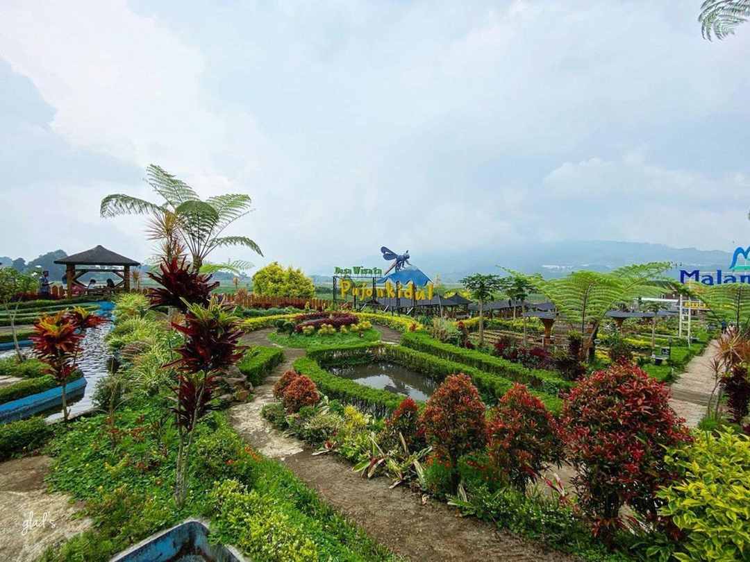 Cafe Sawah Pujonkidul / @gura_moto